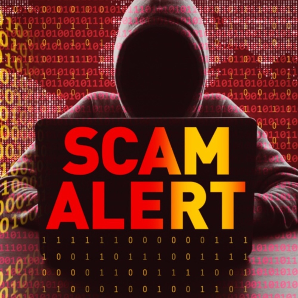 Anine bing scammer accounts